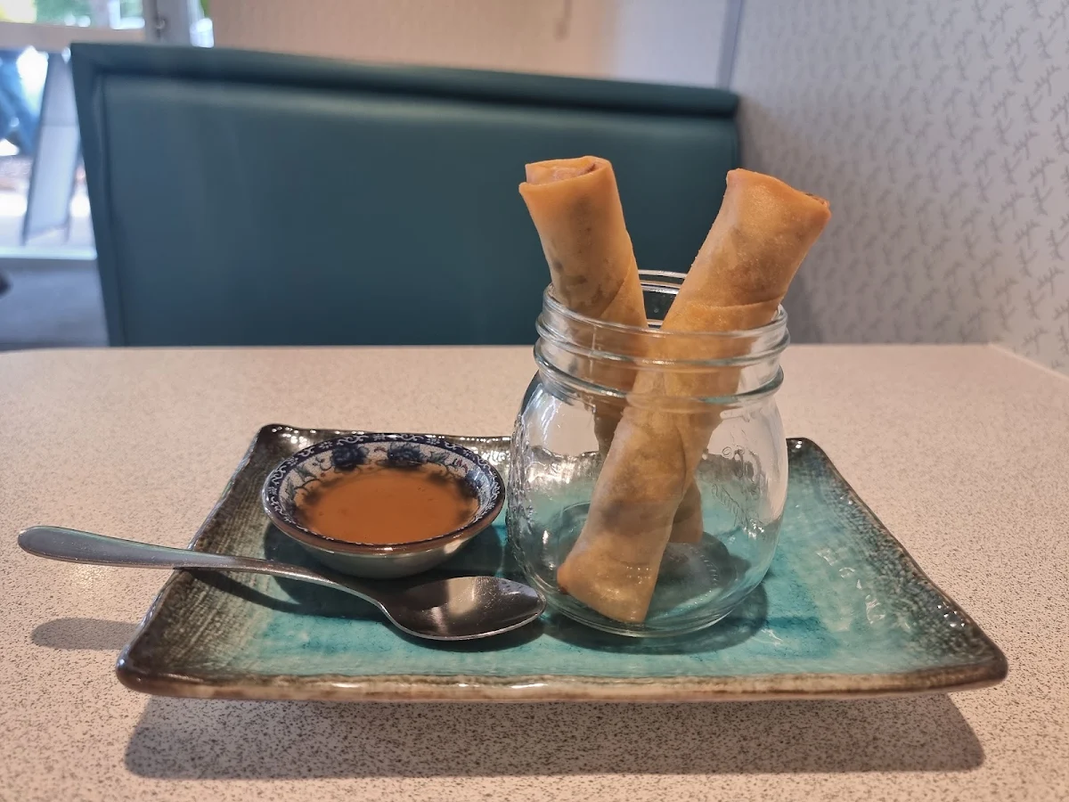 Vegetarian Spring Rolls