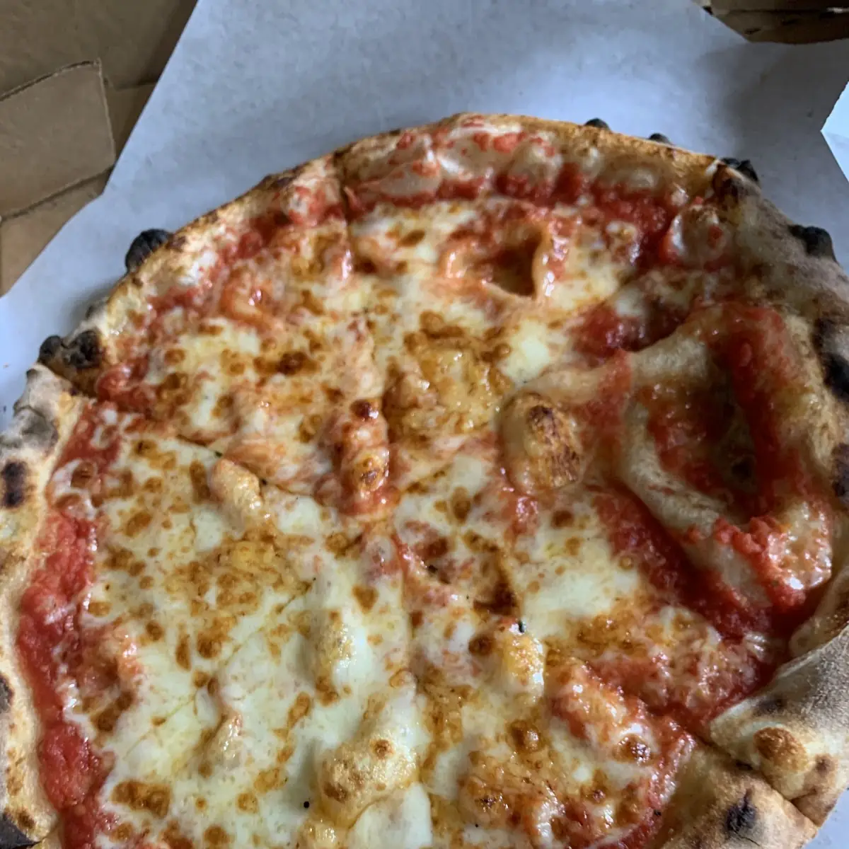 Cheese Pizza