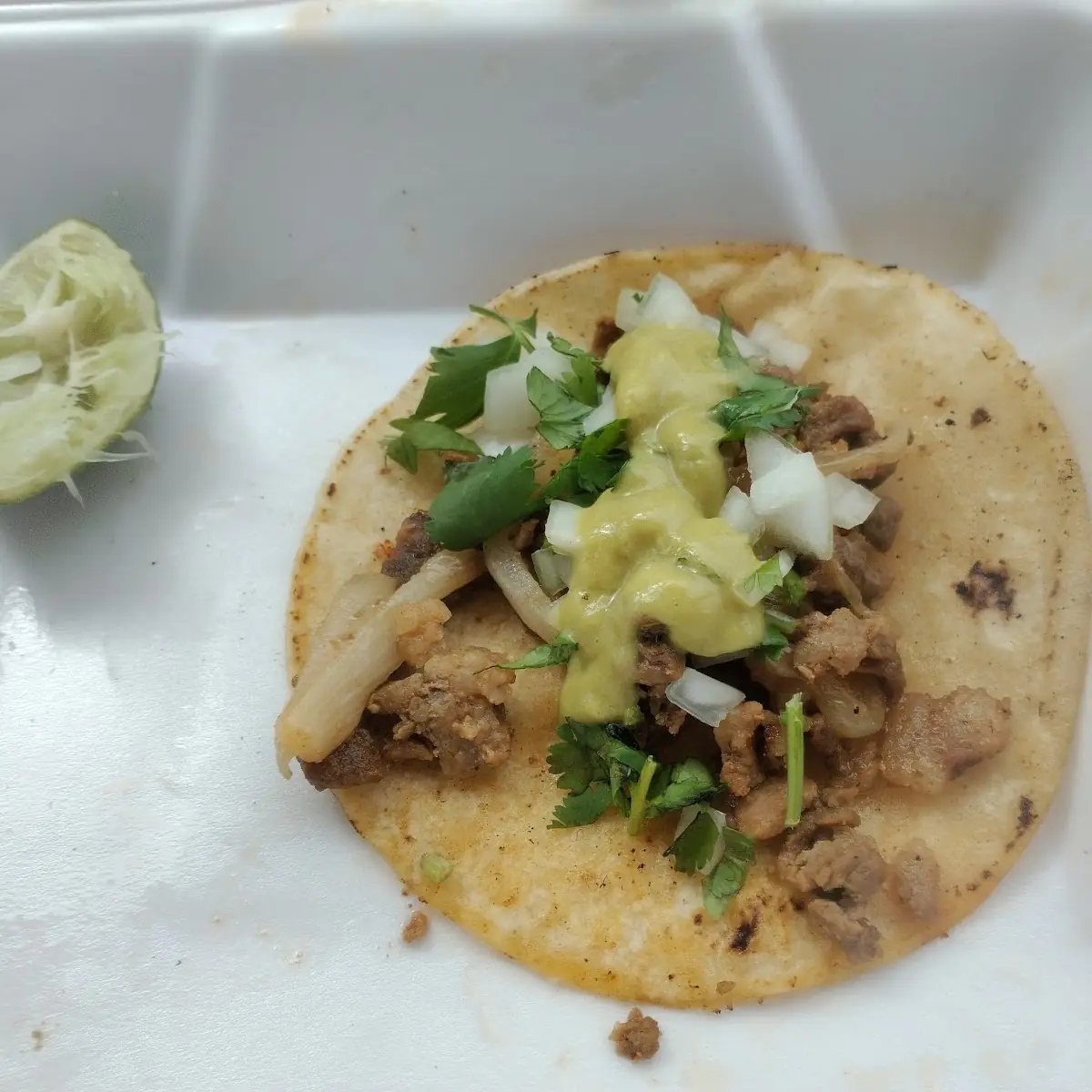 Chicken Street Taco Close Up
