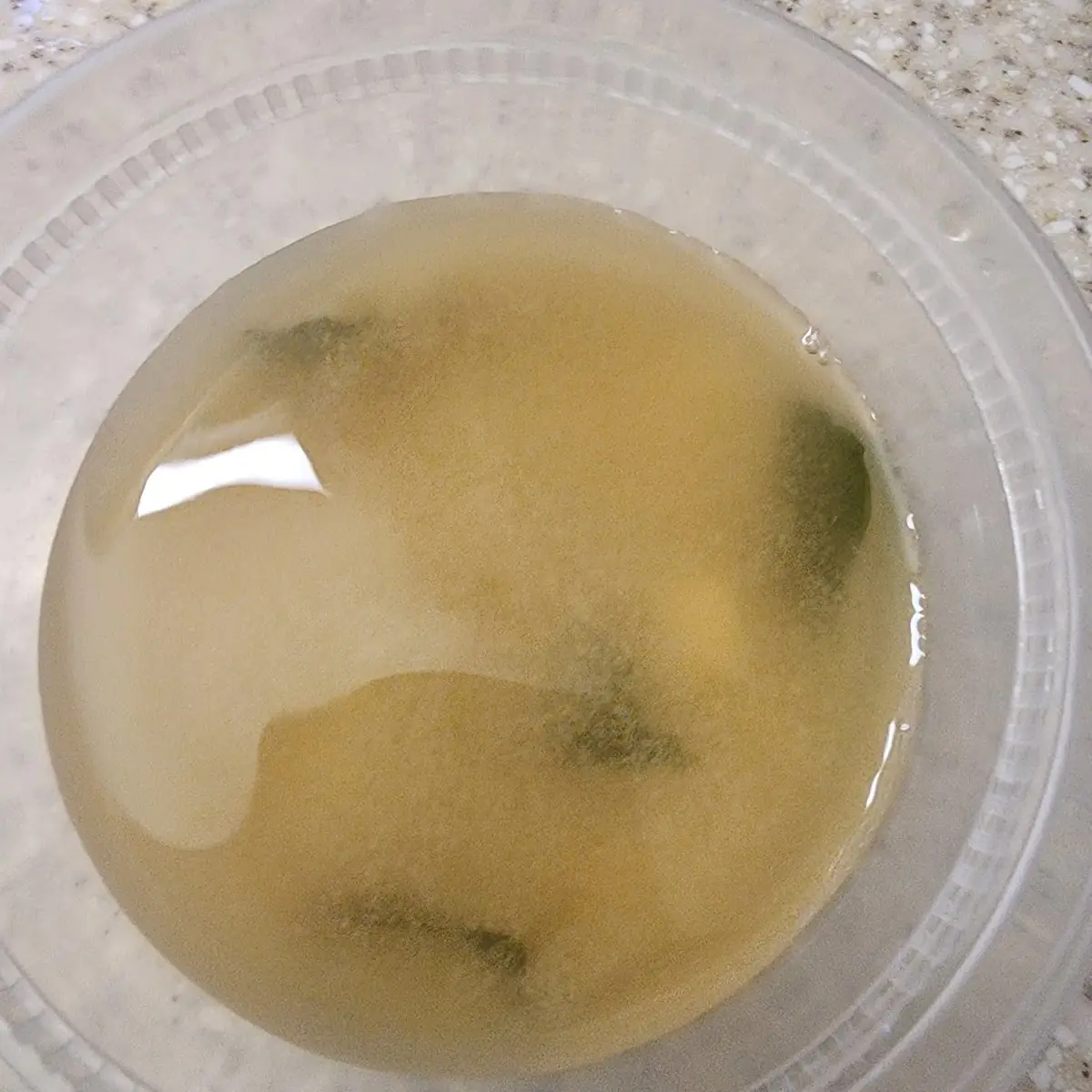 Miso Soup