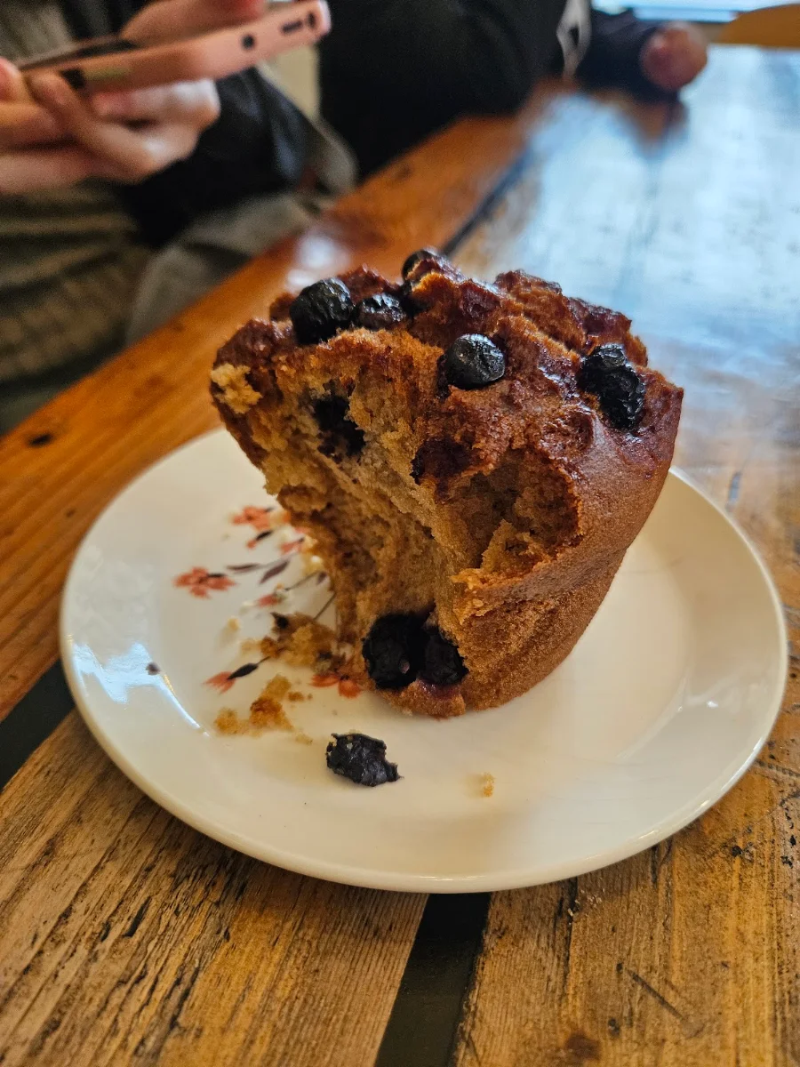 Chocolate Muffin