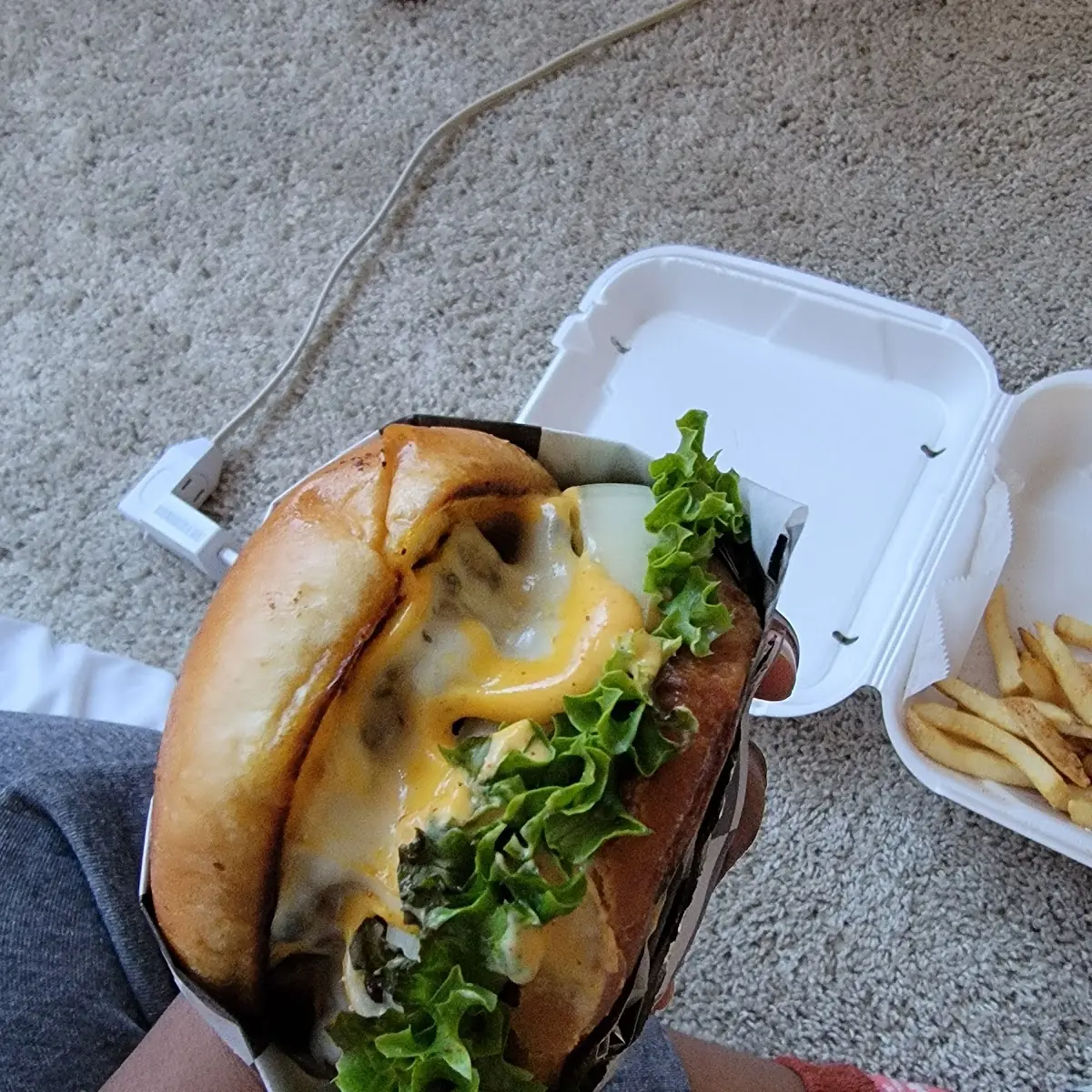 Double Cheeseburger