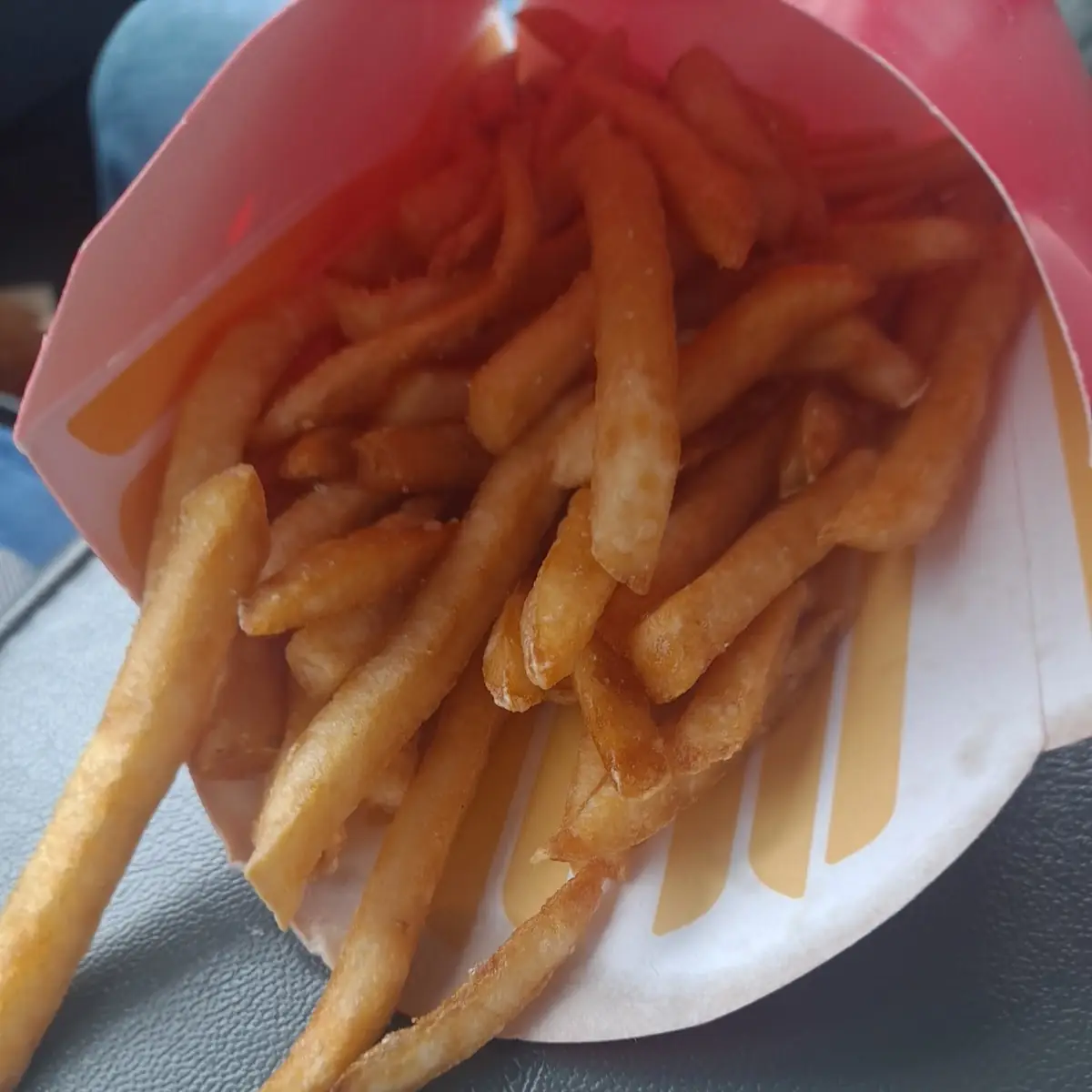 World Famous Fries