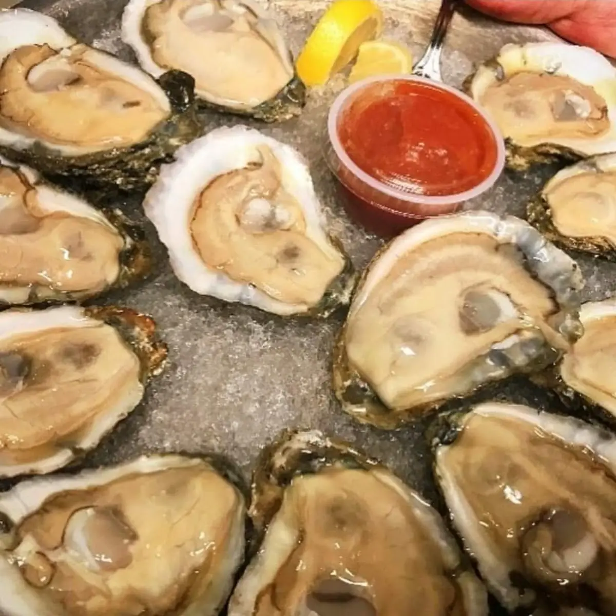 Fried Oysters