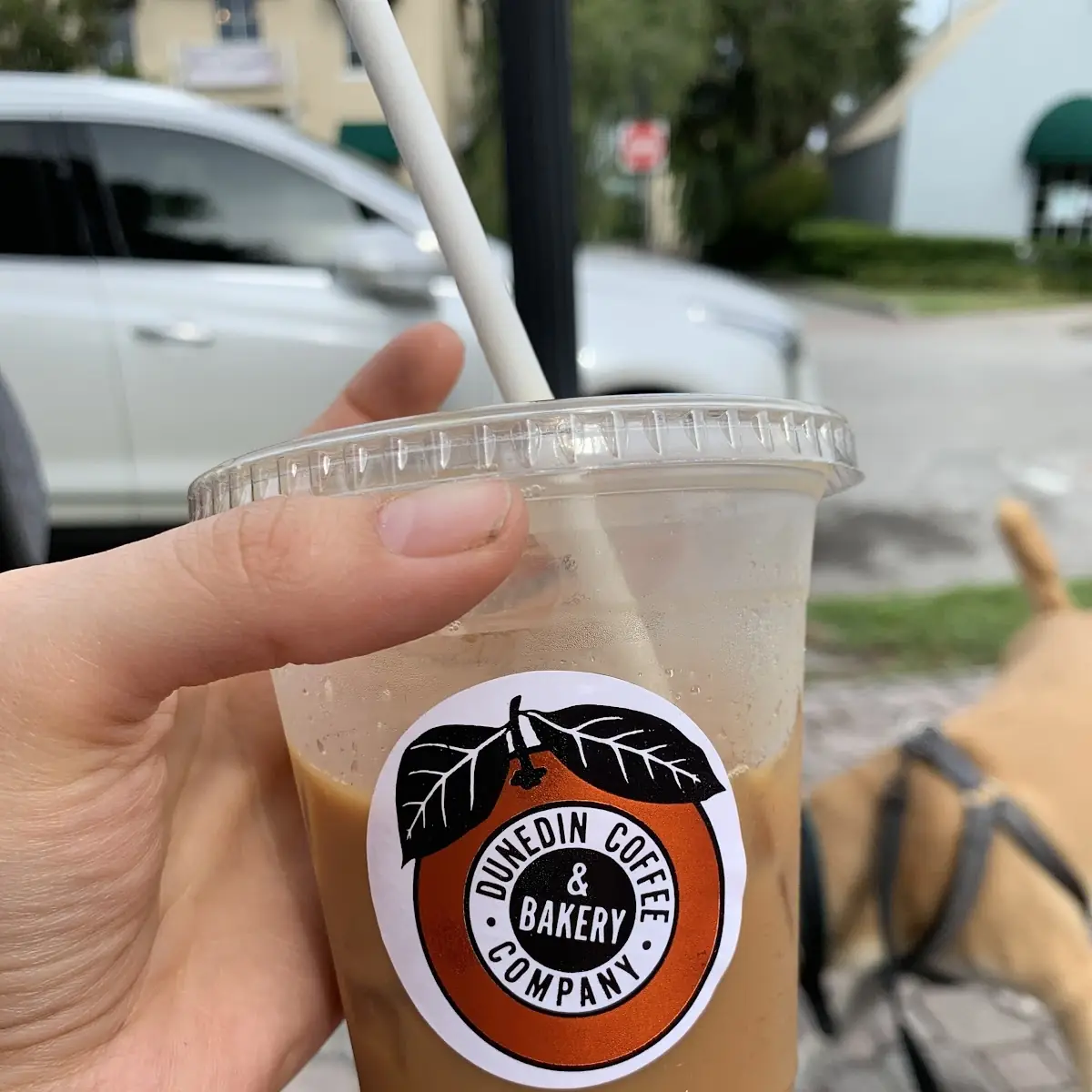 Cold Brew