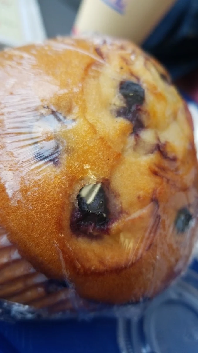 Blueberry Muffin