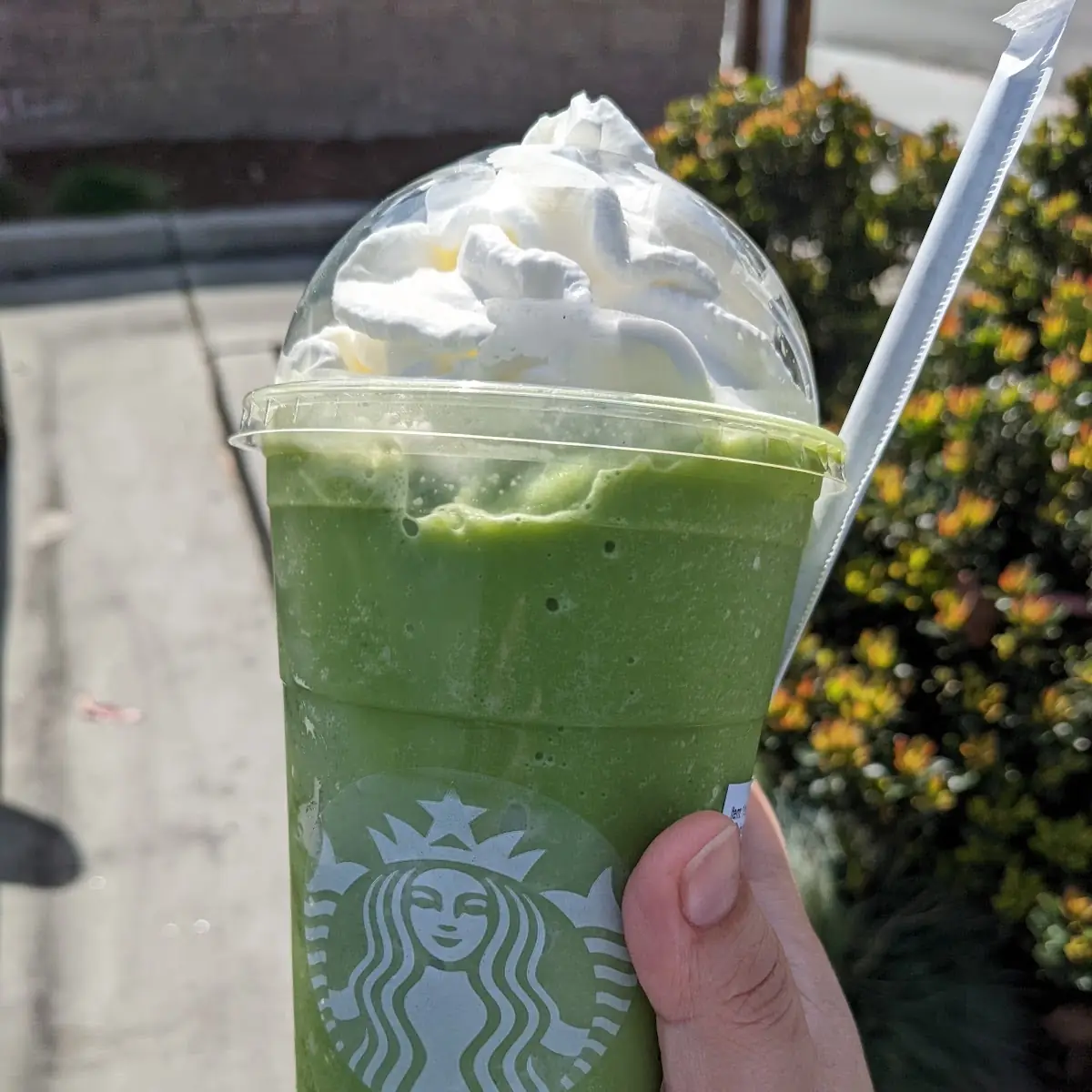 Matcha Creme Frappuccino