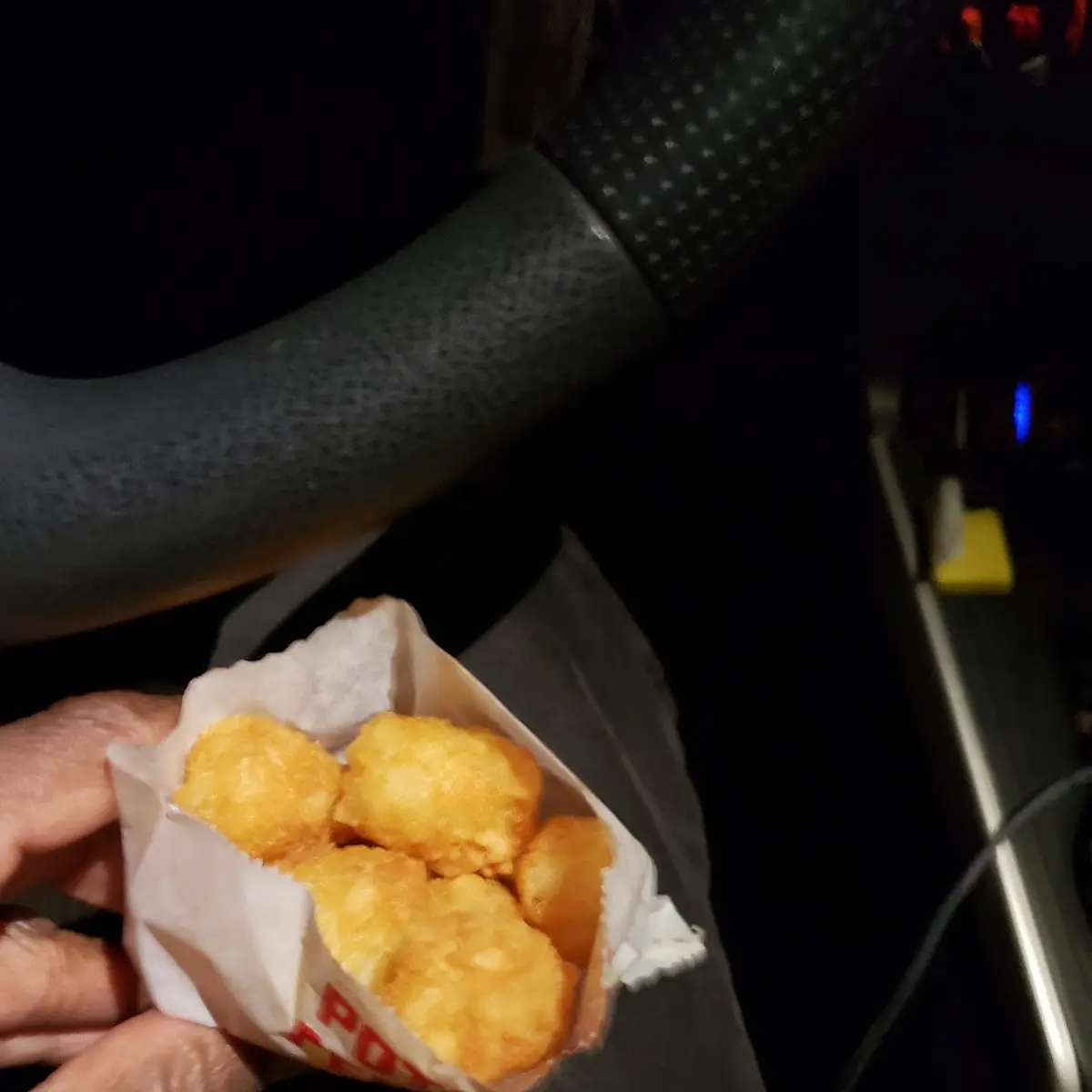 Krystal Junkyard Fries or Tots