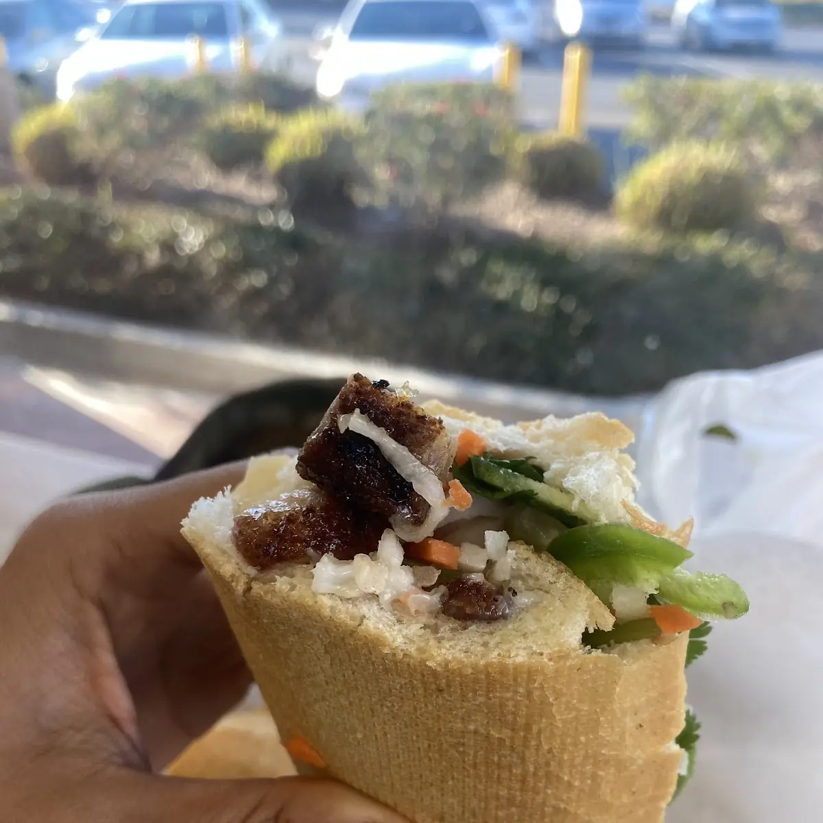 Vietnamese Banh MI Sandwich