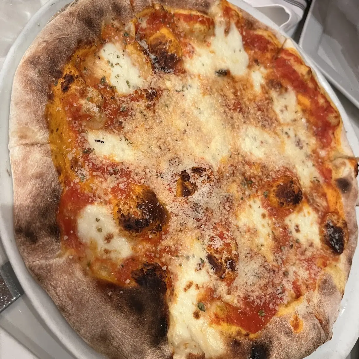 Napoleon Pizza Quattro Formaggi