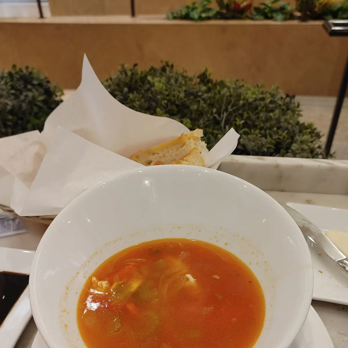 Vegetable Soup