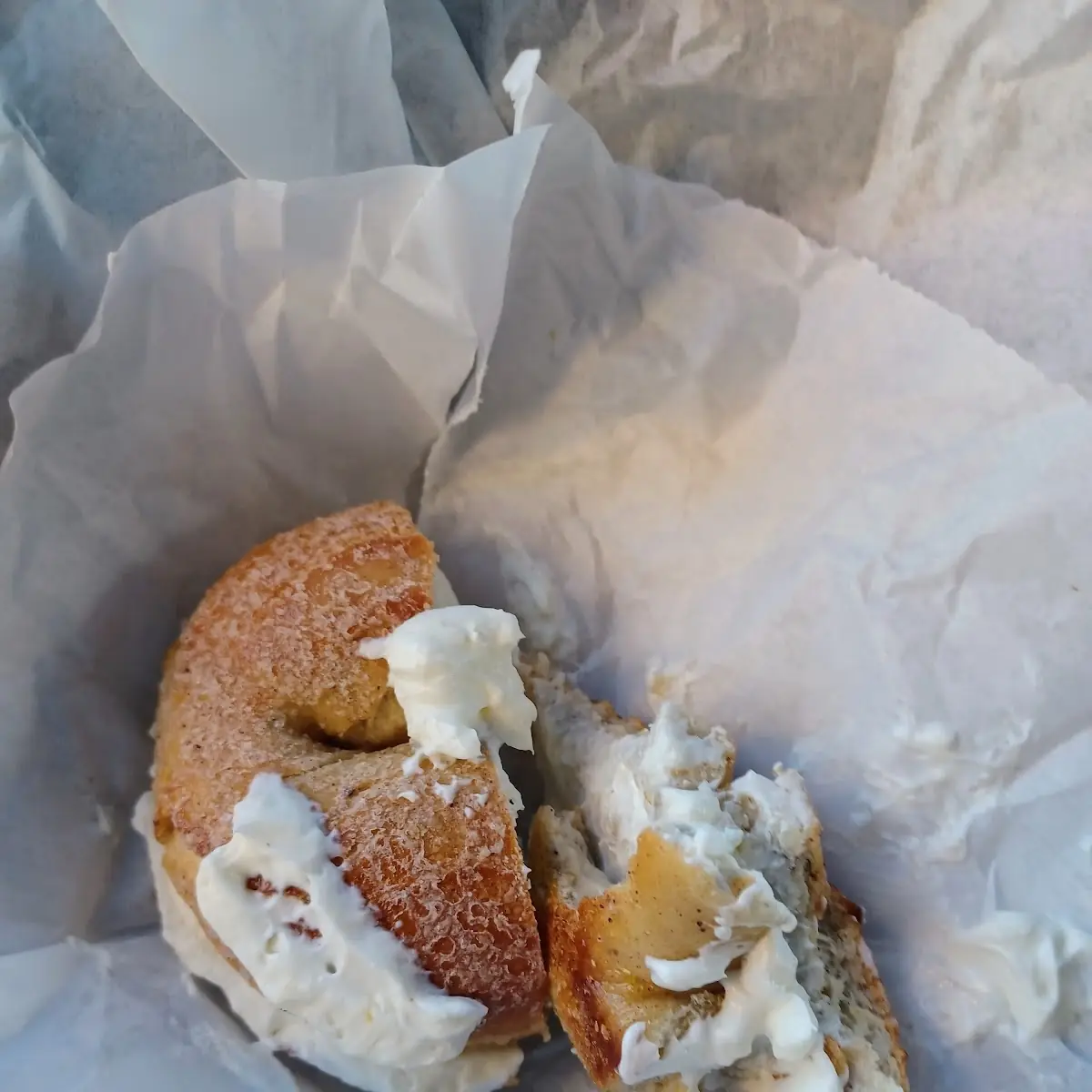Cinnamon Raisin Bagel