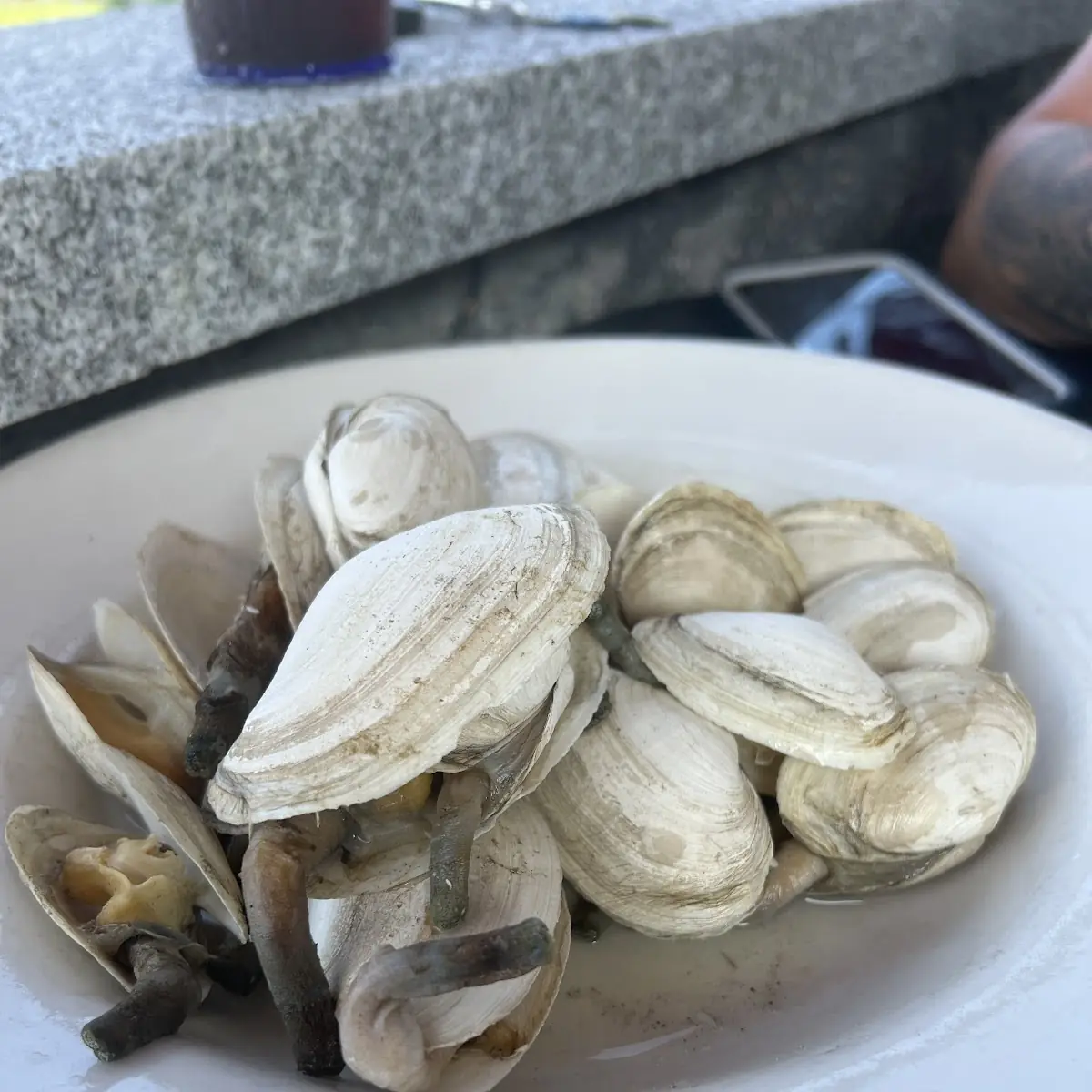 Steamed Clams
