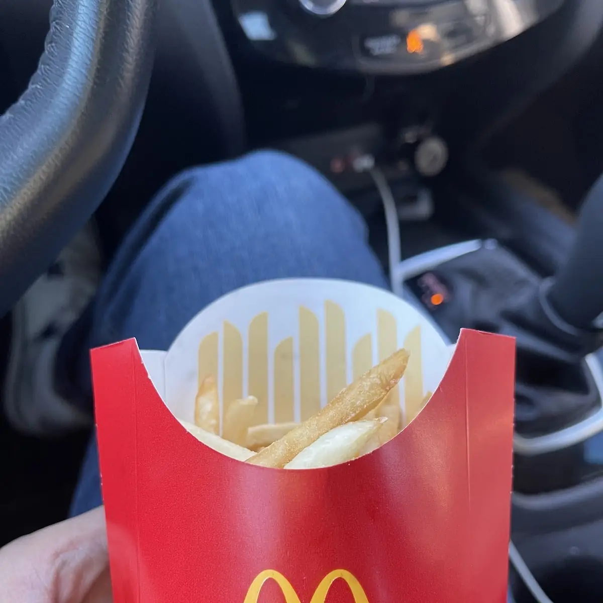 Medium Fries