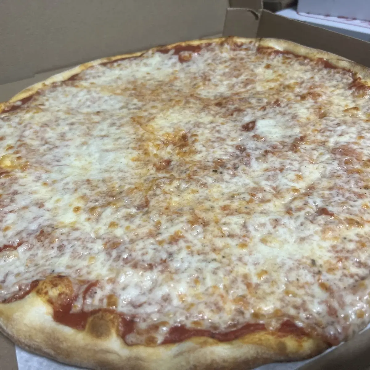 Sauce and Mozzarella Cheese Pizza