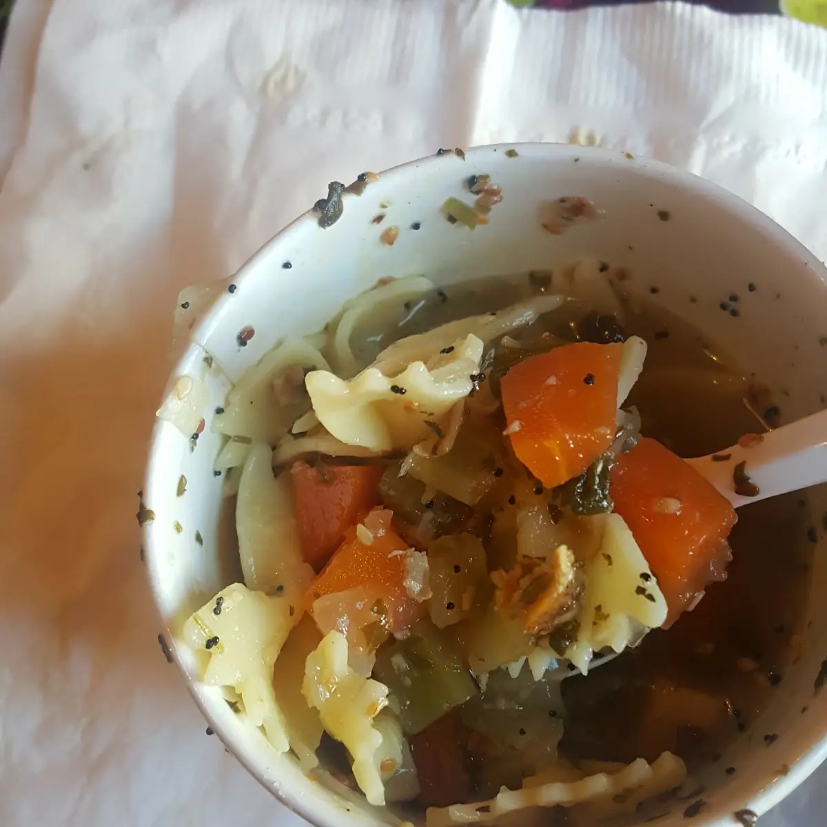 Chicken Noodle Soup