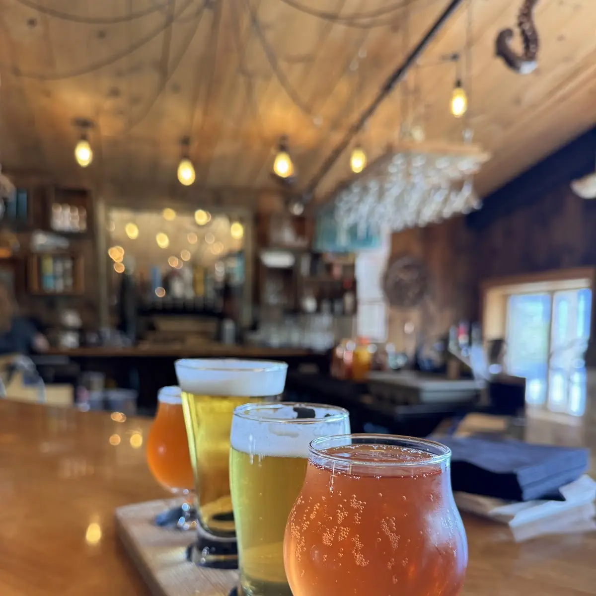 Beer Flight