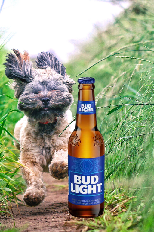 Bud Light