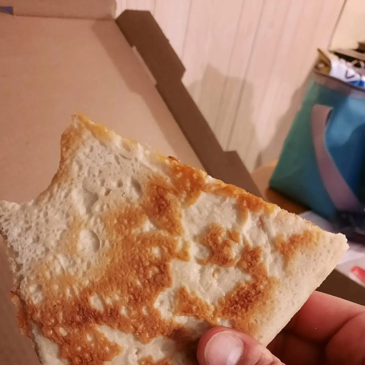 Plain Pizza