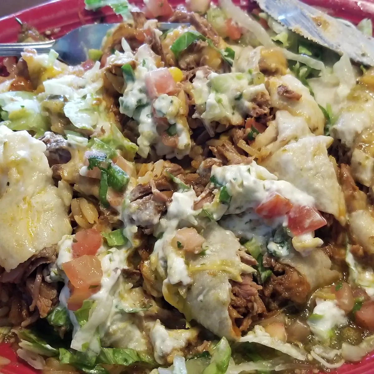 Shredded Beef Burrito Cut Up