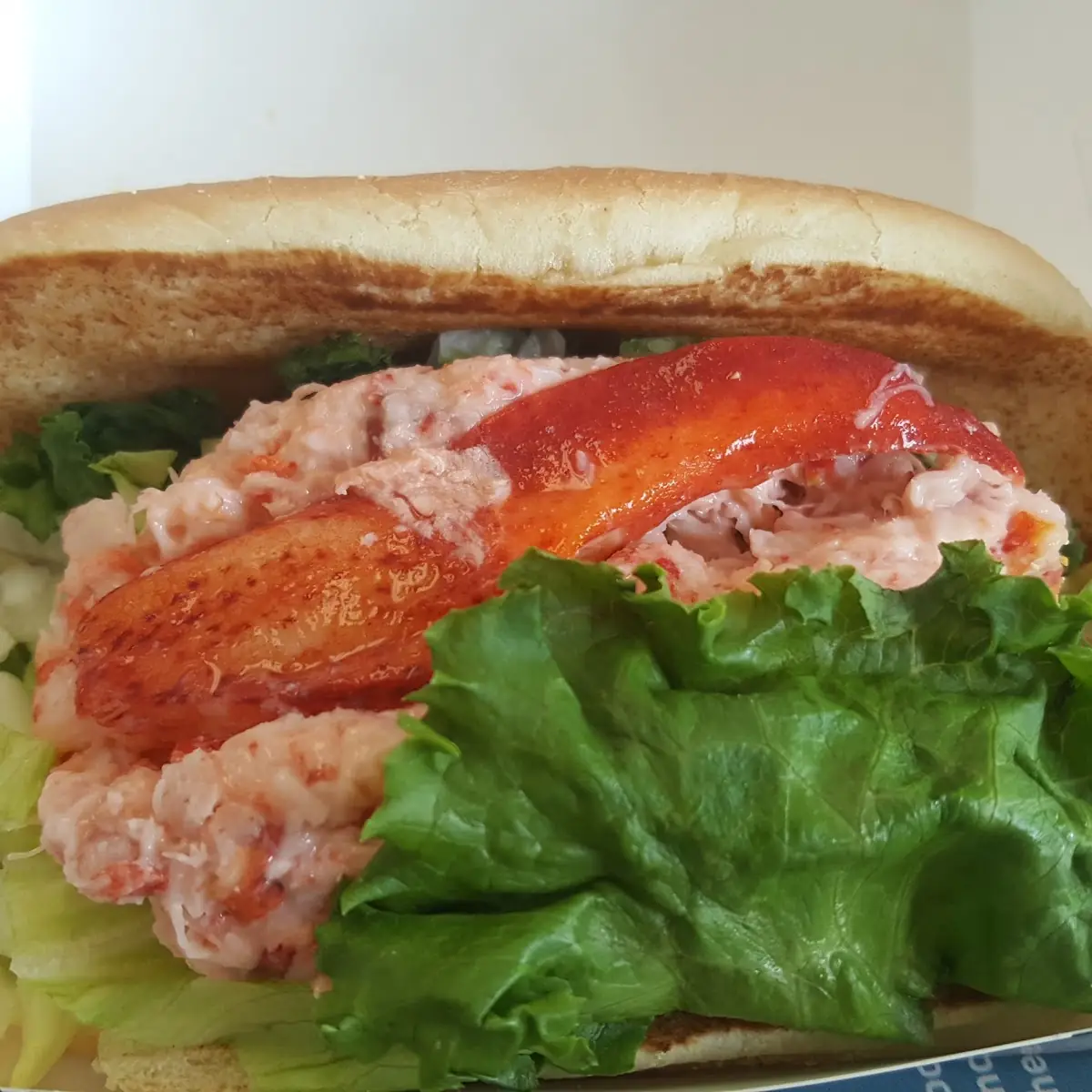 Lobster Roll