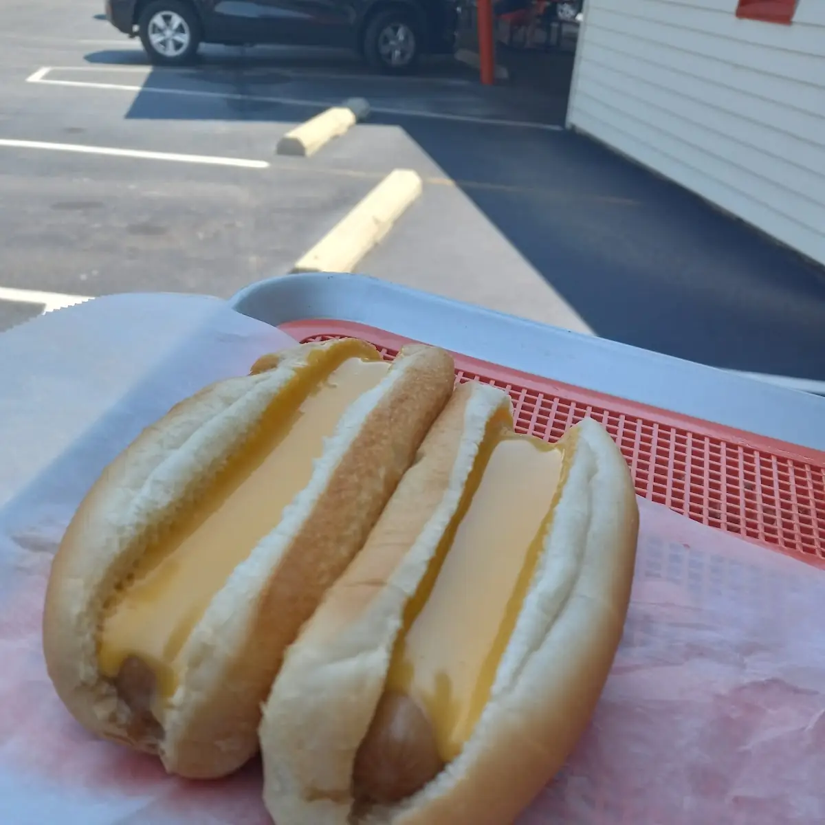 Cheese Dog