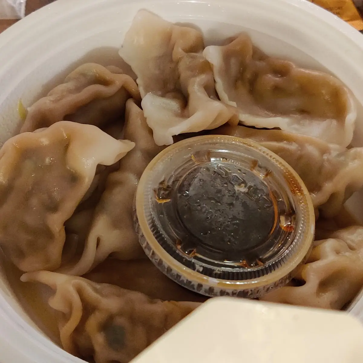 Fried or Steamed Dumplings