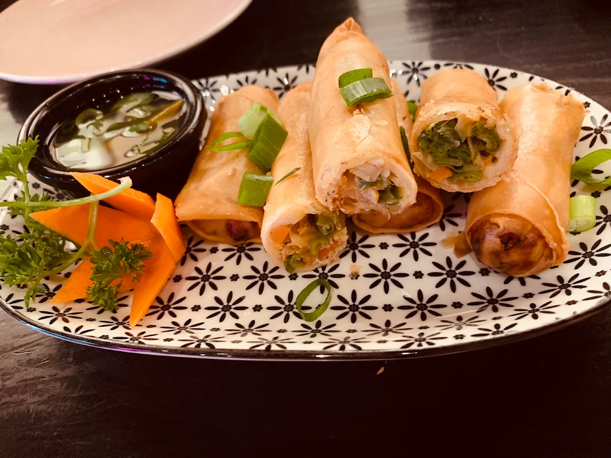 Vegetable Spring Rolls