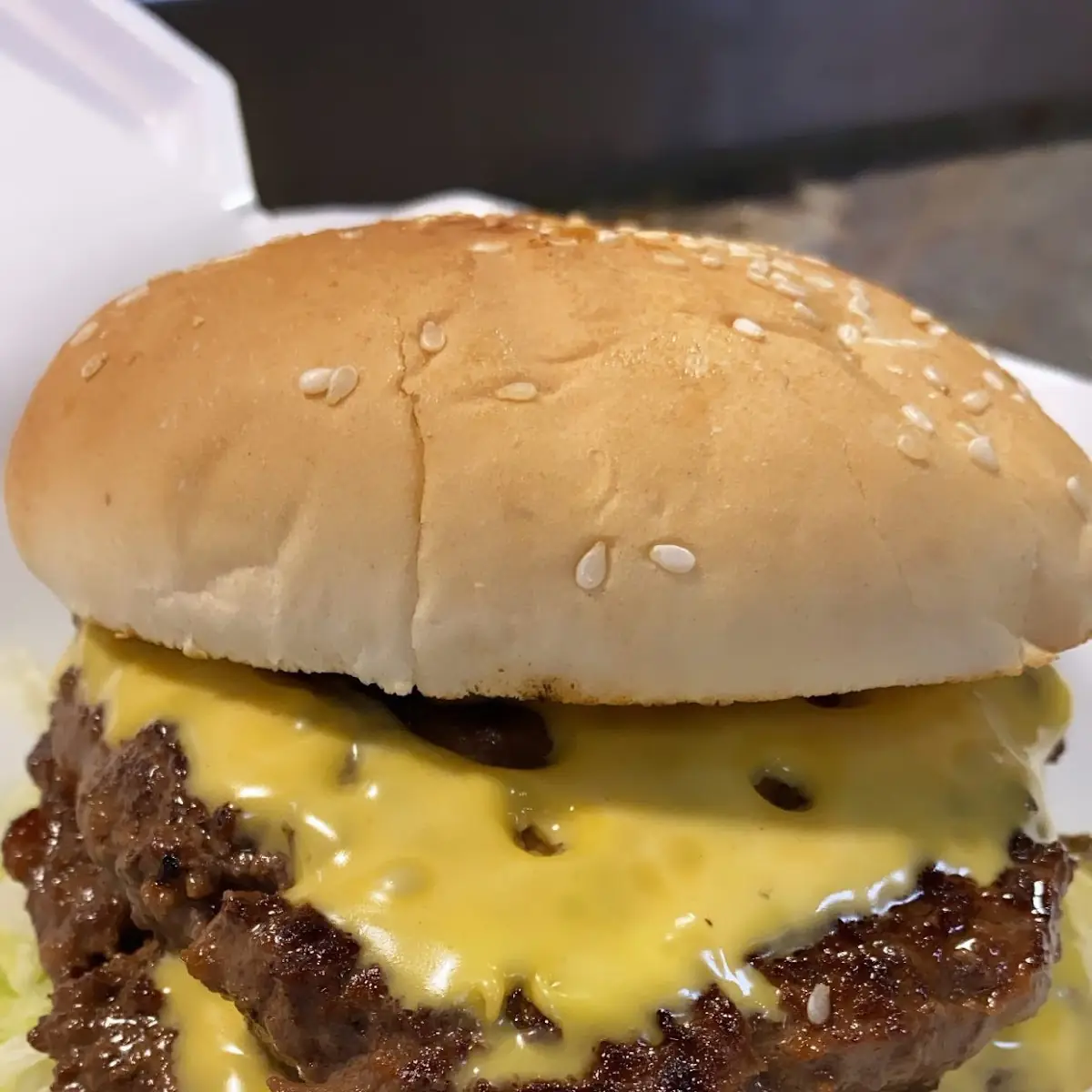 Double Cheeseburger