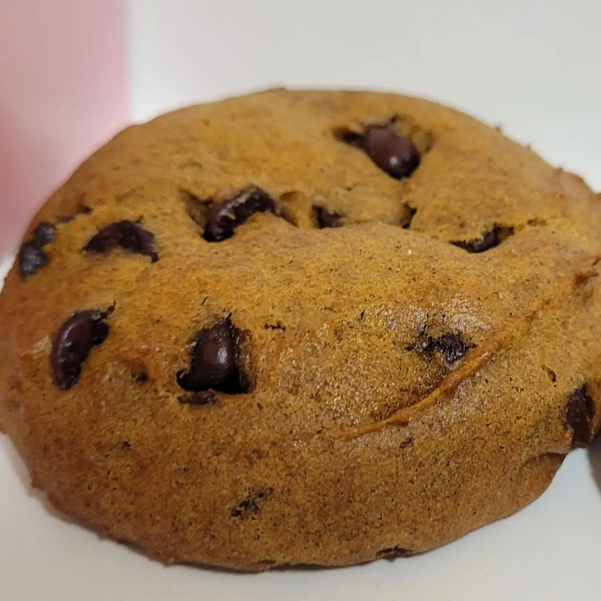 Pumpkin Chocolate Chip
