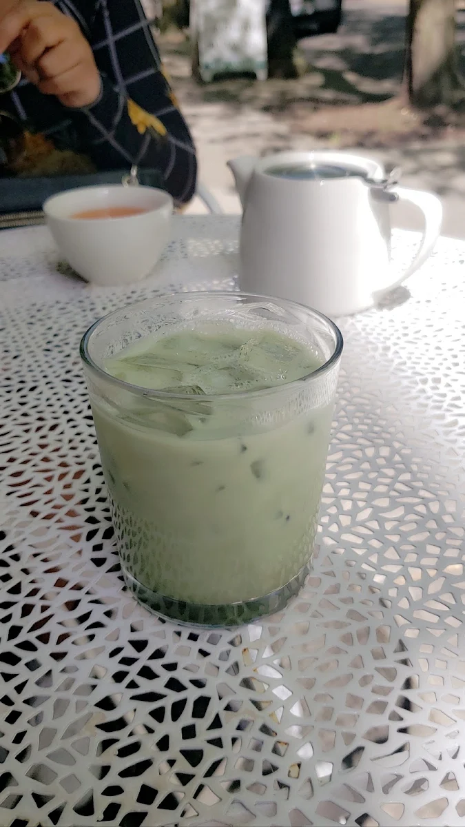Iced Matcha Latte
