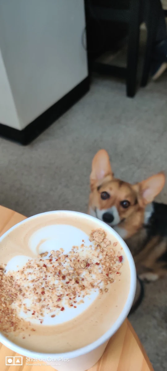 Red Date Latte