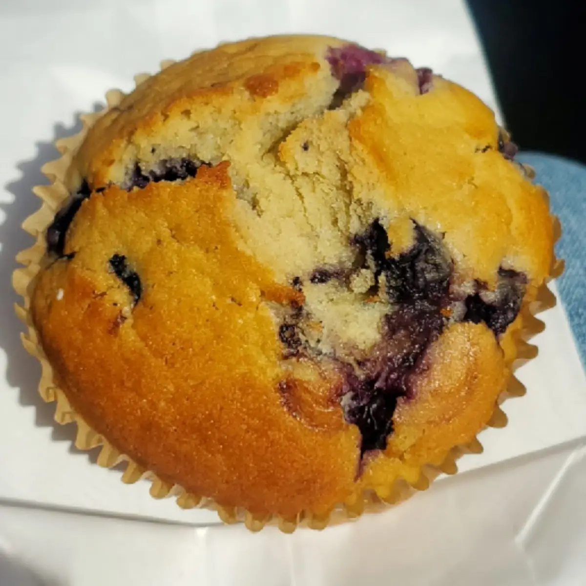Blueberry Muffin