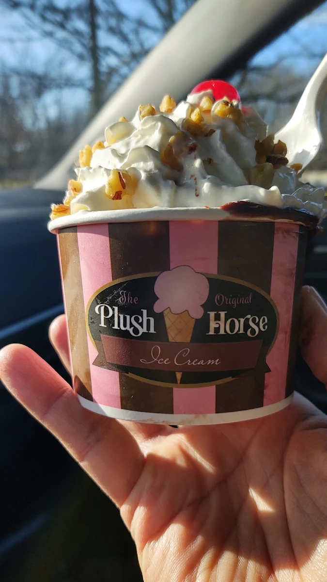Hot Fudge Sundae