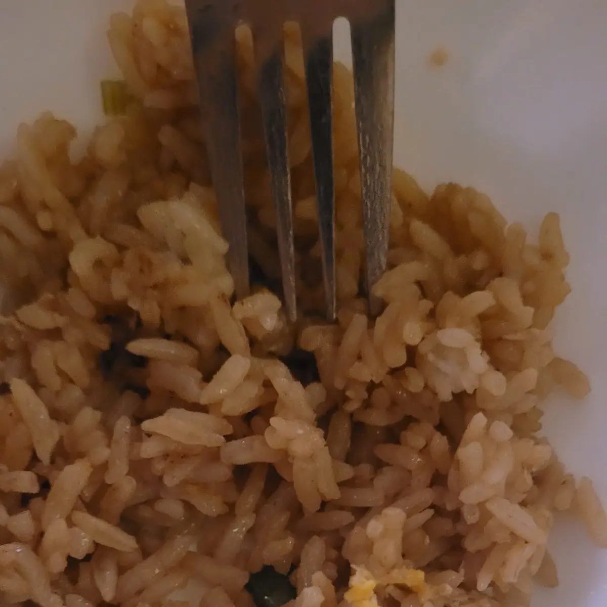 Fried Rice