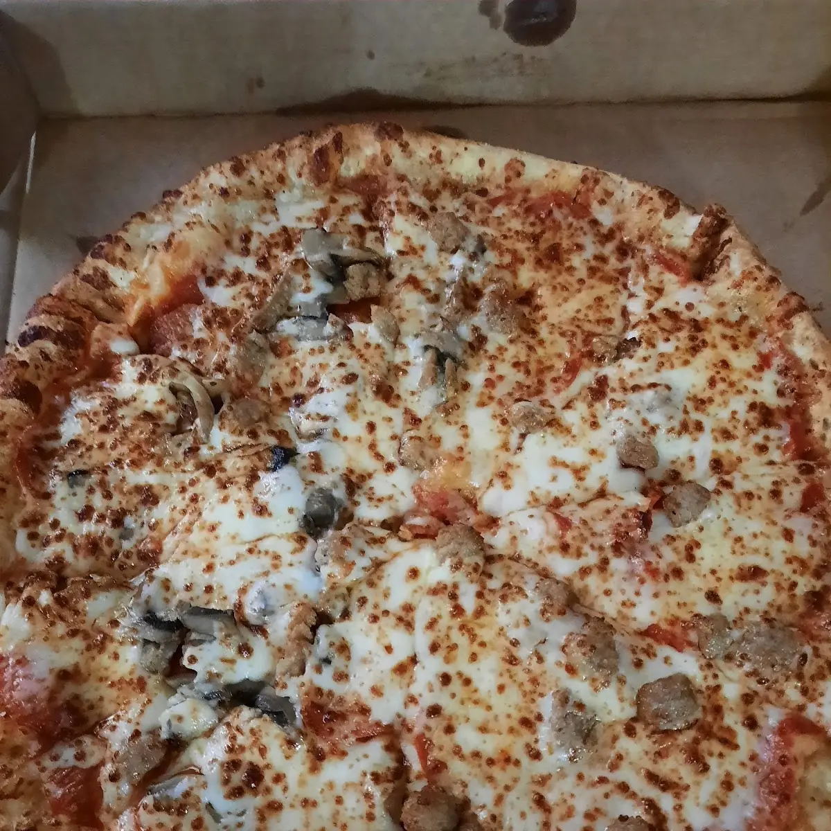 Big Bear Favorite Pizza Large