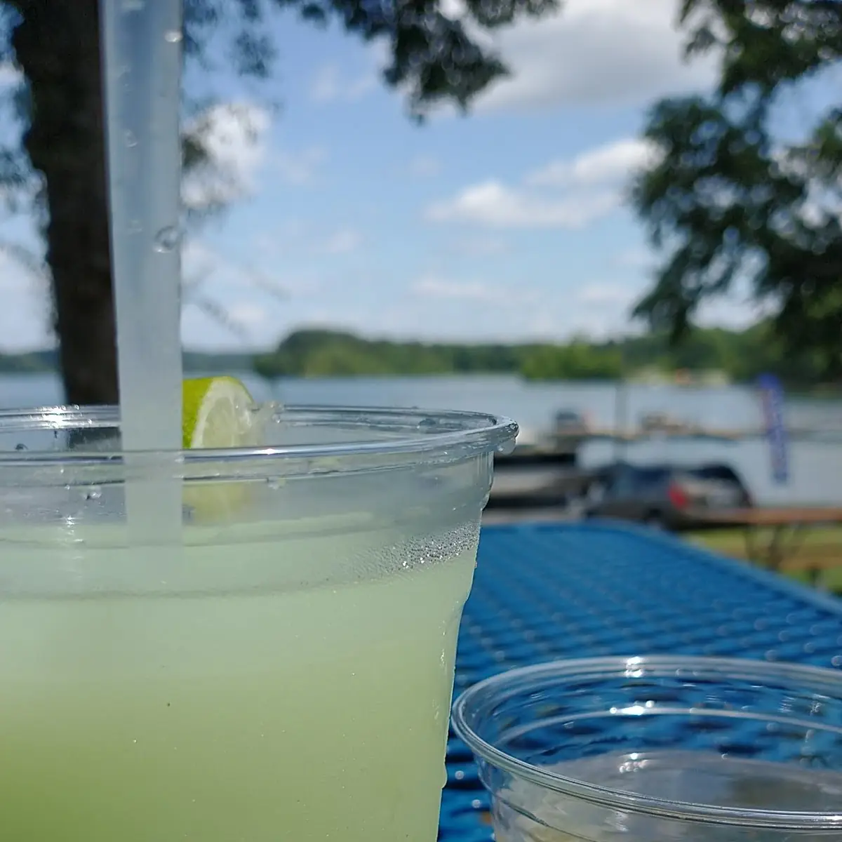 Frozen Margarita & Chardonnay