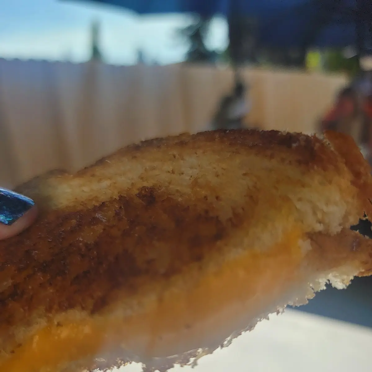 Grilled Cheese