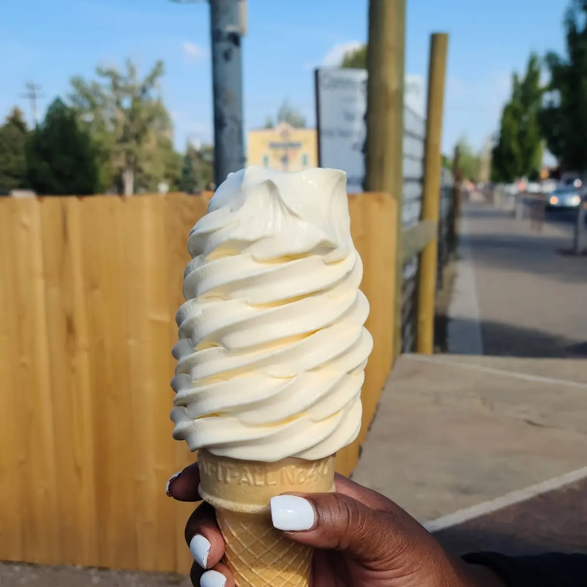 Large Vanilla Ice Cream