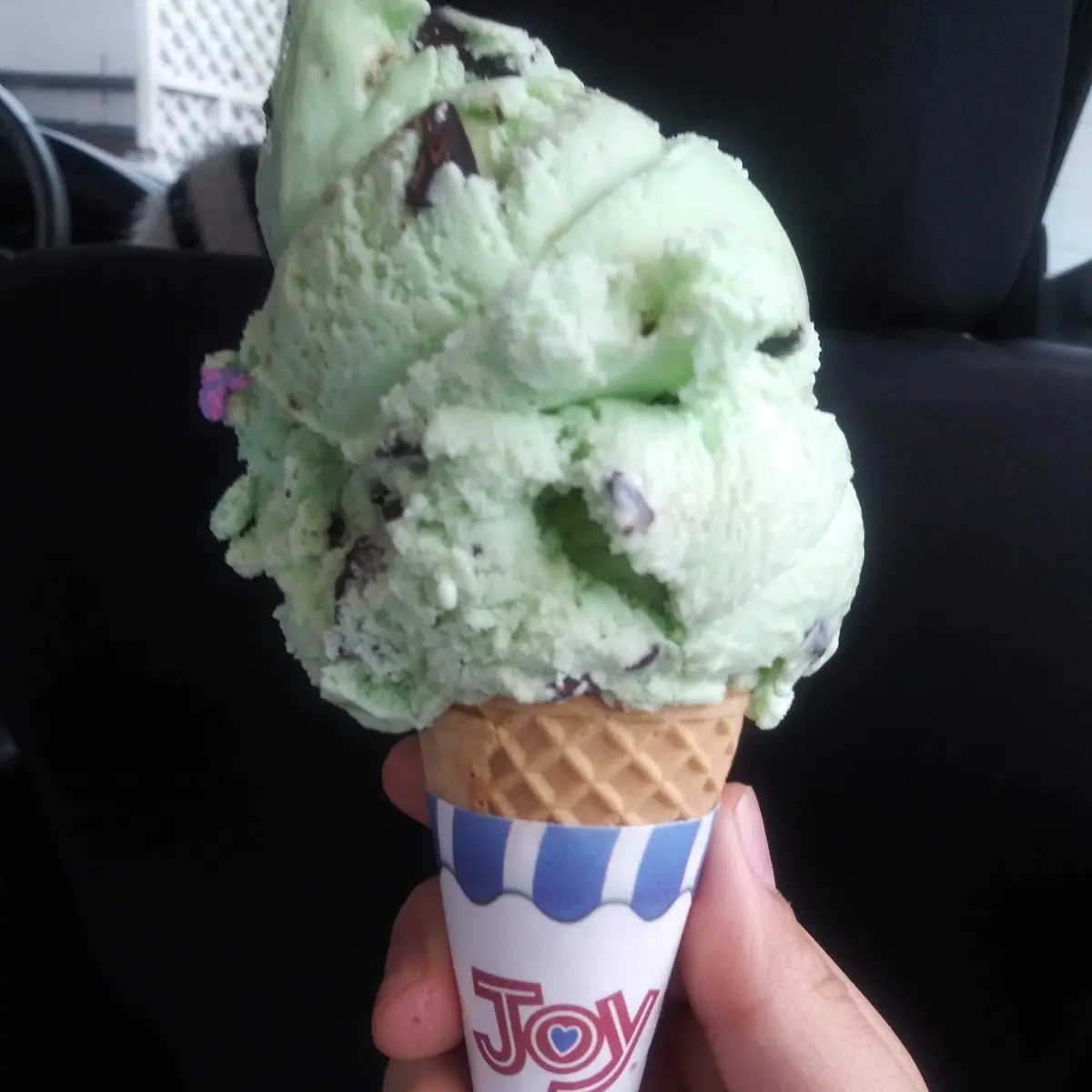 Mint Chocolate Chip