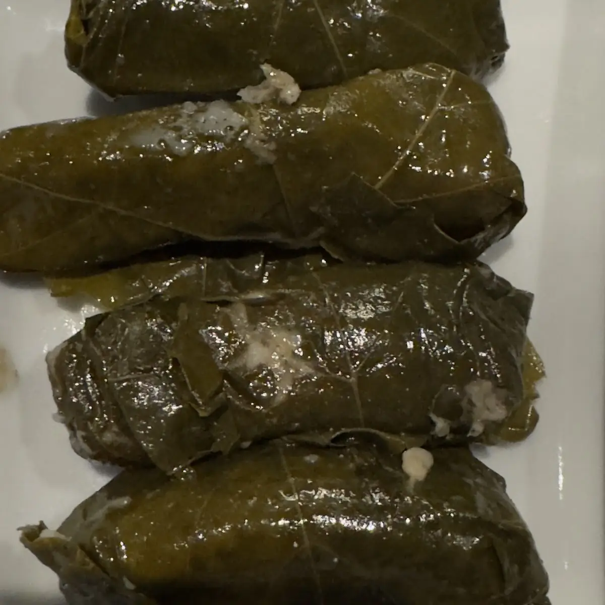 Grape Leaves