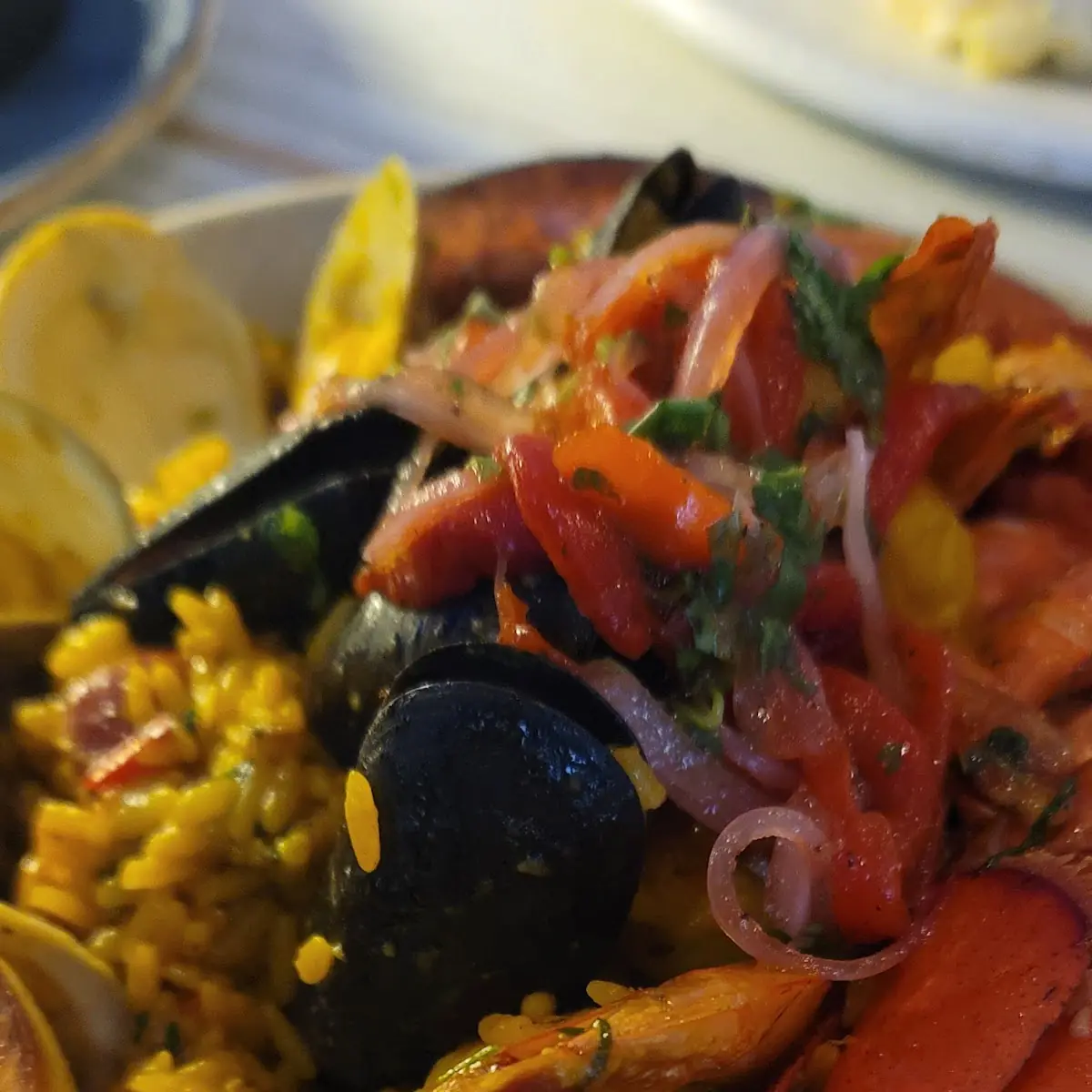 Coquito Blu Paella Marinera