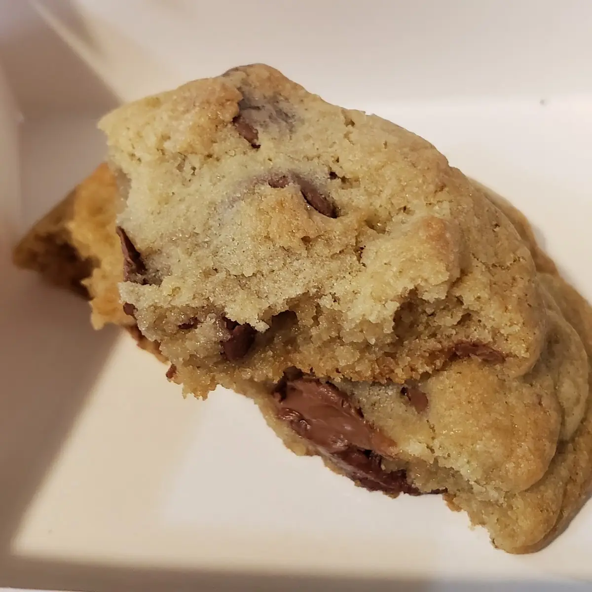 Chocolate Chip Cookie