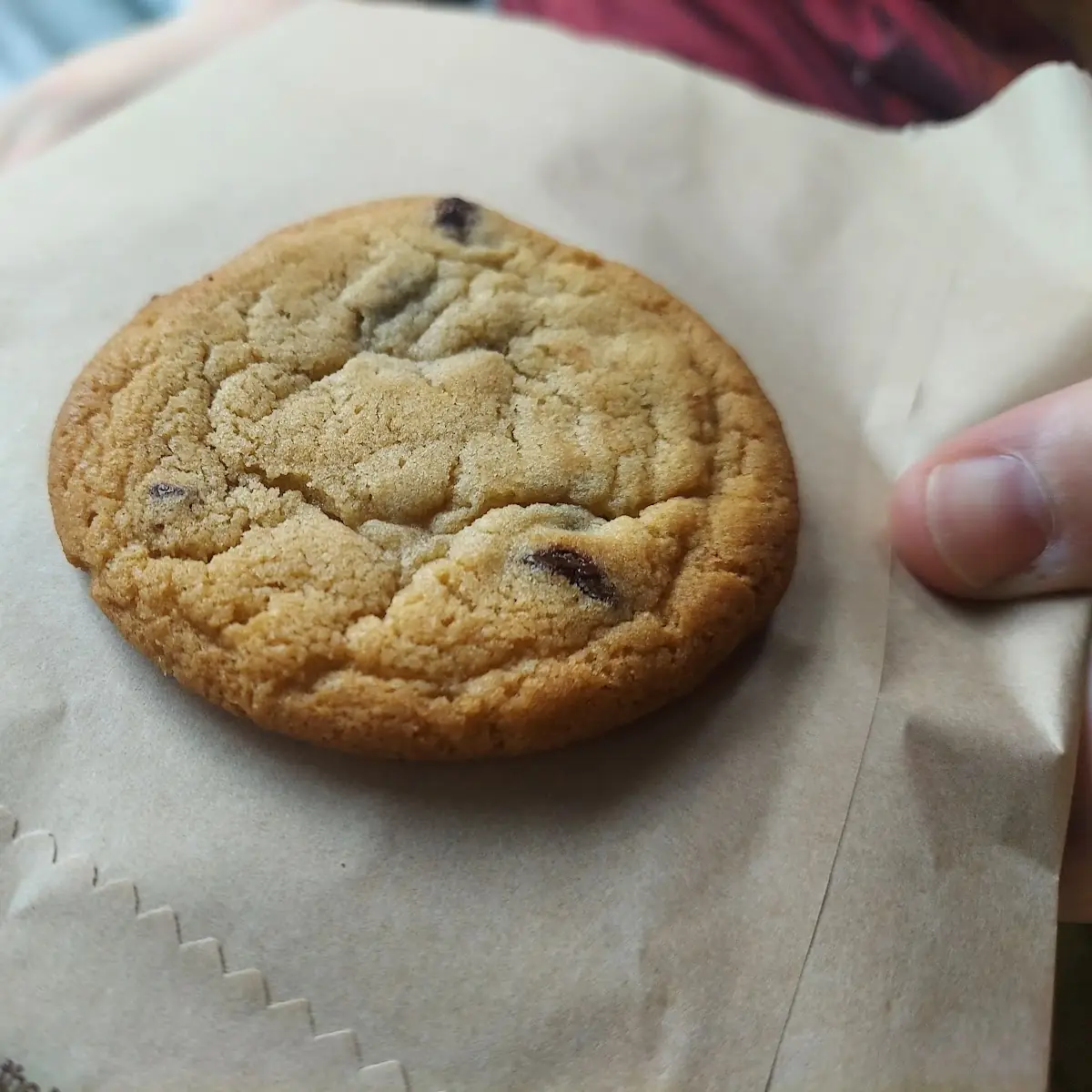 Chocolate Chip Cookie