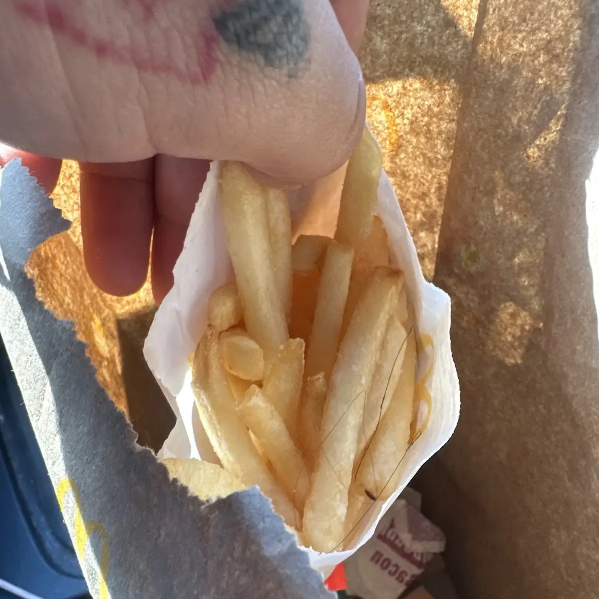 World Famous Fries