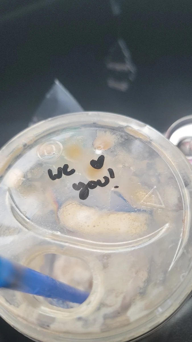Salted Caramel with Mocha and Blended