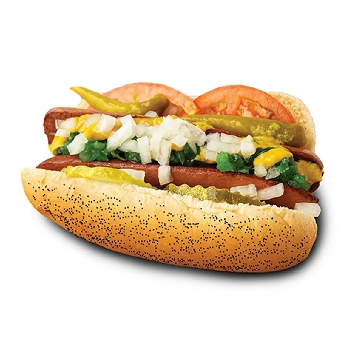 Chicago Style Hot Dog