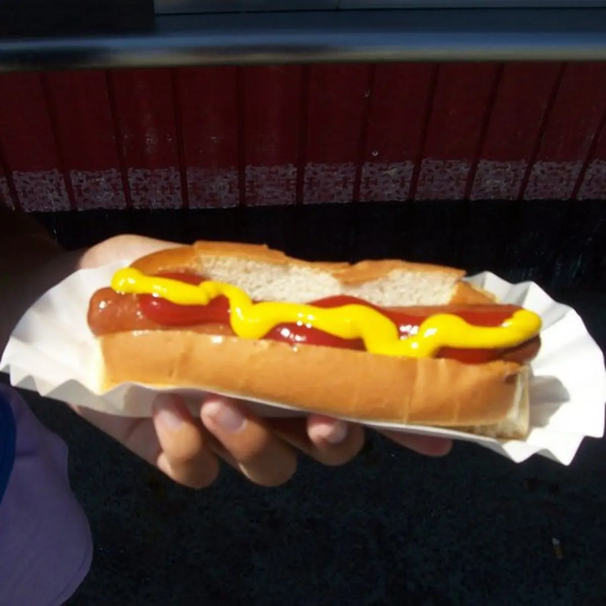 Hot Dog