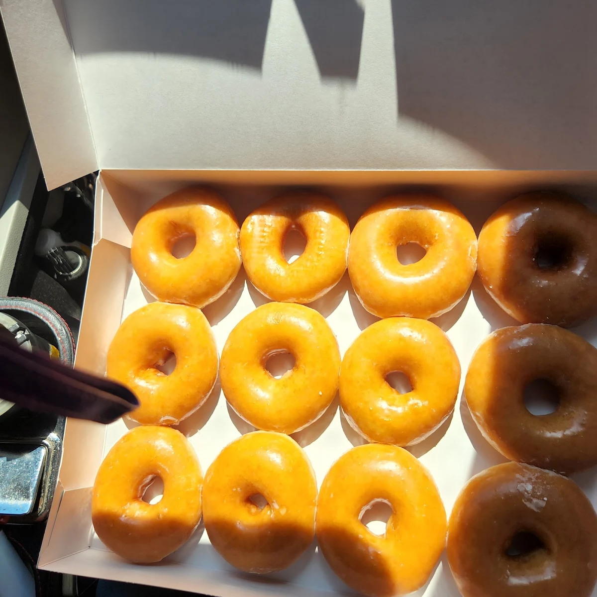 Doughnut
