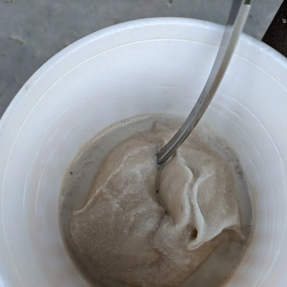Chocolate Malt